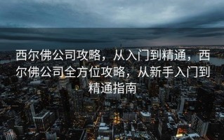 西尔佛公司攻略，从入门到精通，西尔佛公司全方位攻略，从新手入门到精通指南