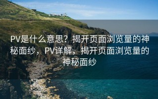 PV是什么意思？揭开页面浏览量的神秘面纱，PV详解，揭开页面浏览量的神秘面纱