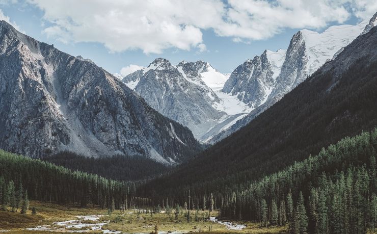洪荒OL人物躲藏特点揭秘